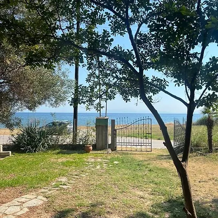 Tatil Evi Green *